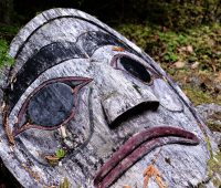 Cedar LNG Enters Substituted Environmental Assessment Process