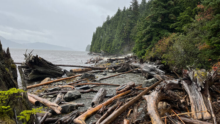 Reminder: Public Comment Period Closes April 14